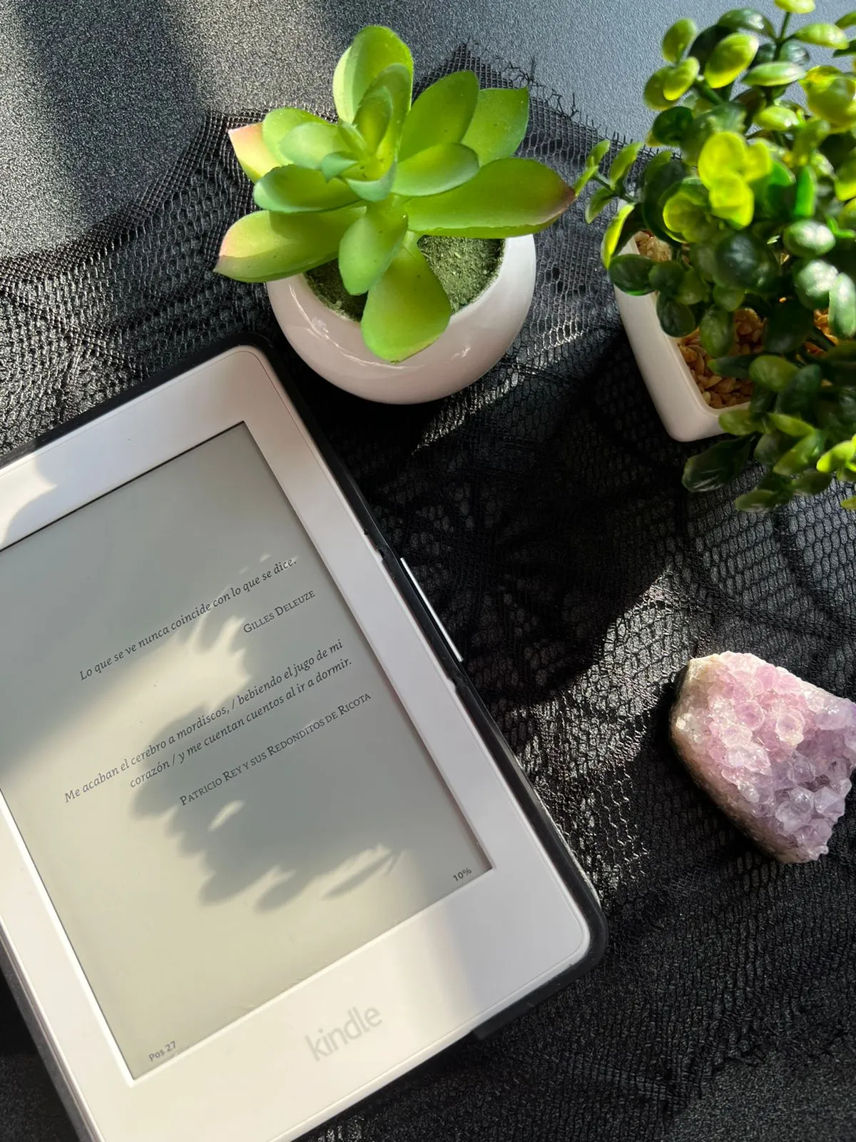 Plantas decorativas del consultorio