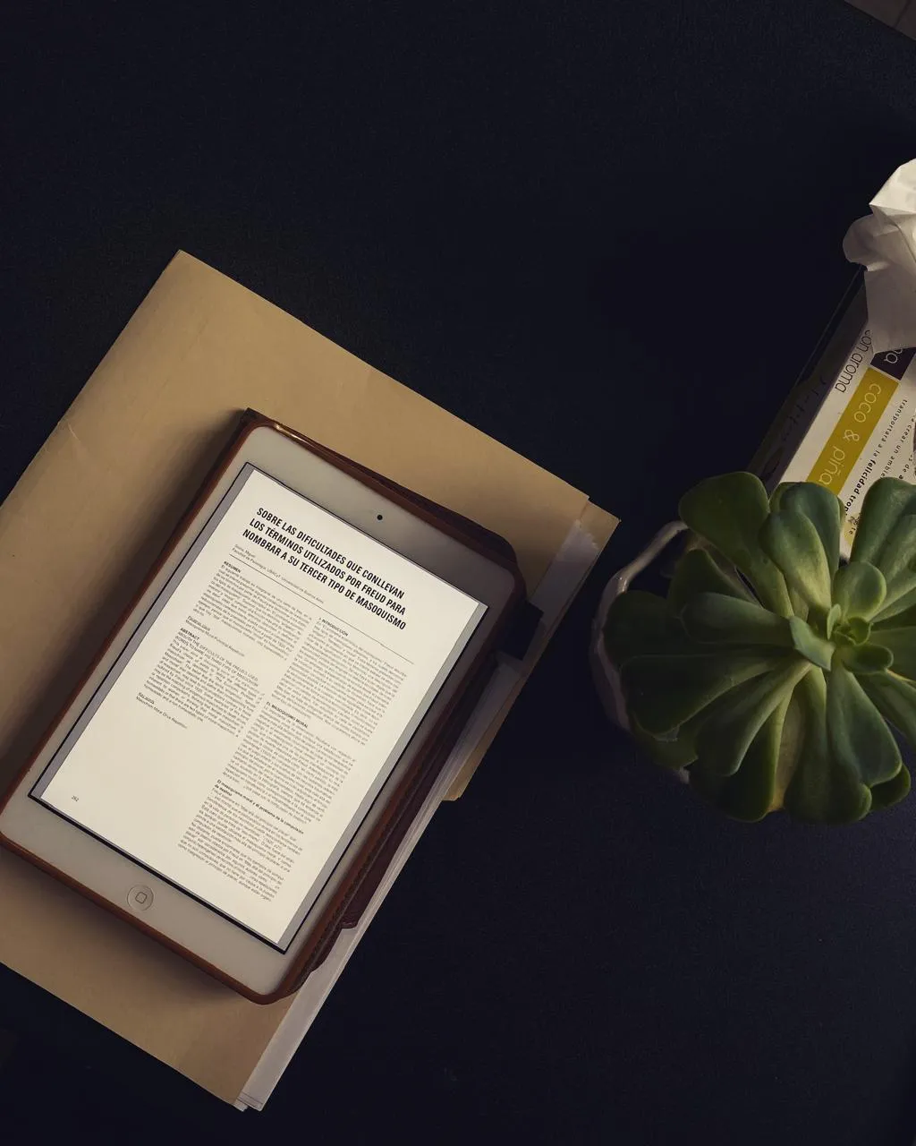 Segundas plantas decorativas del consultorio